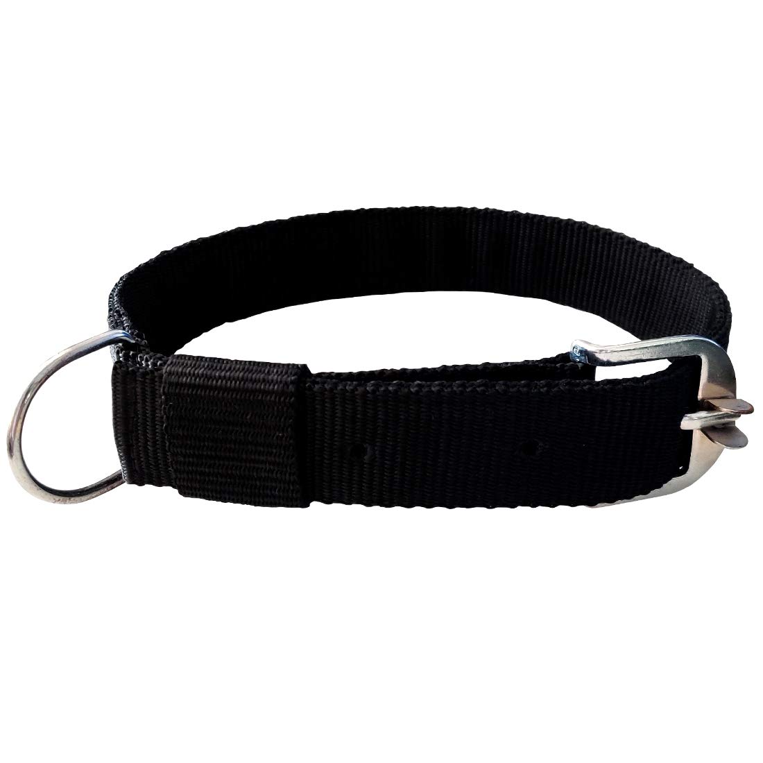 Pawzone 1 Inch Black Dog Collar”