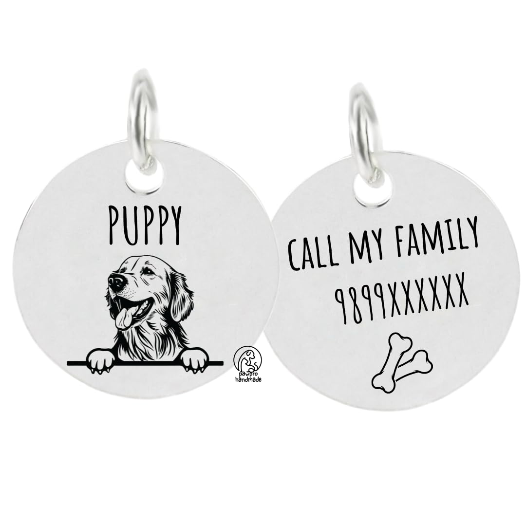 Pawpro Personalized Engraved Dog Name Tag with Photo Customized Pet Id Cute Dog Tag Id for Dogs, Cat, Customized (Silver Color)