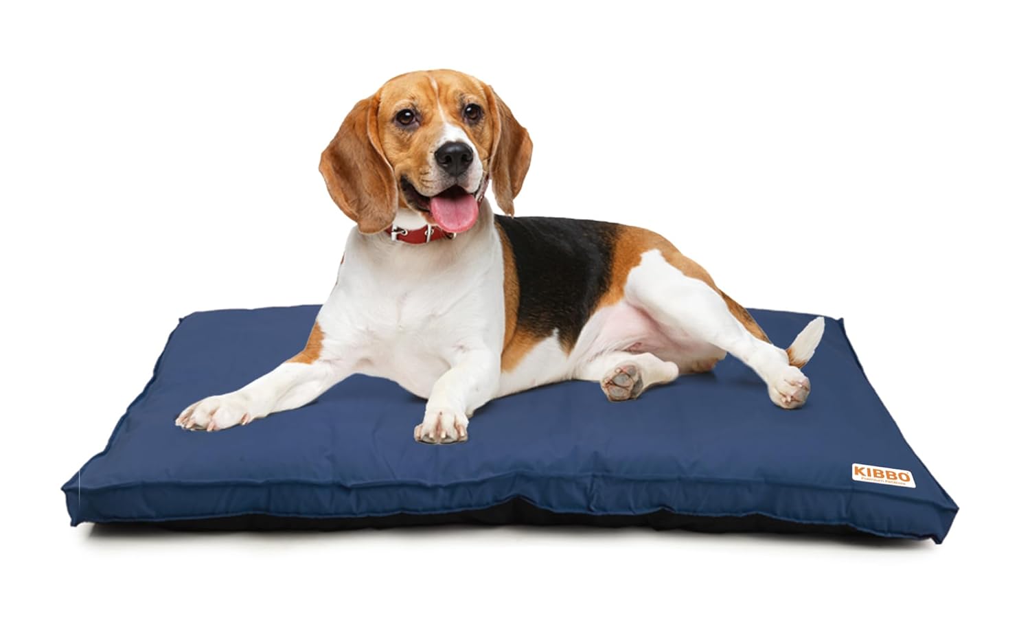 KIBBO Waterproof Flat Bed for Dogs and Cats | Detachable Cover & Washable Dog Bed | Lighweight Design with Anti-Skid Base | for Medium Breed | Blue KIBBO Waterproof Flat Bed for Dogs and Cats | Detachable Cover & Washable Dog Bed | Lighweight Design with Anti-Skid Base | for Medium Breed | Blue