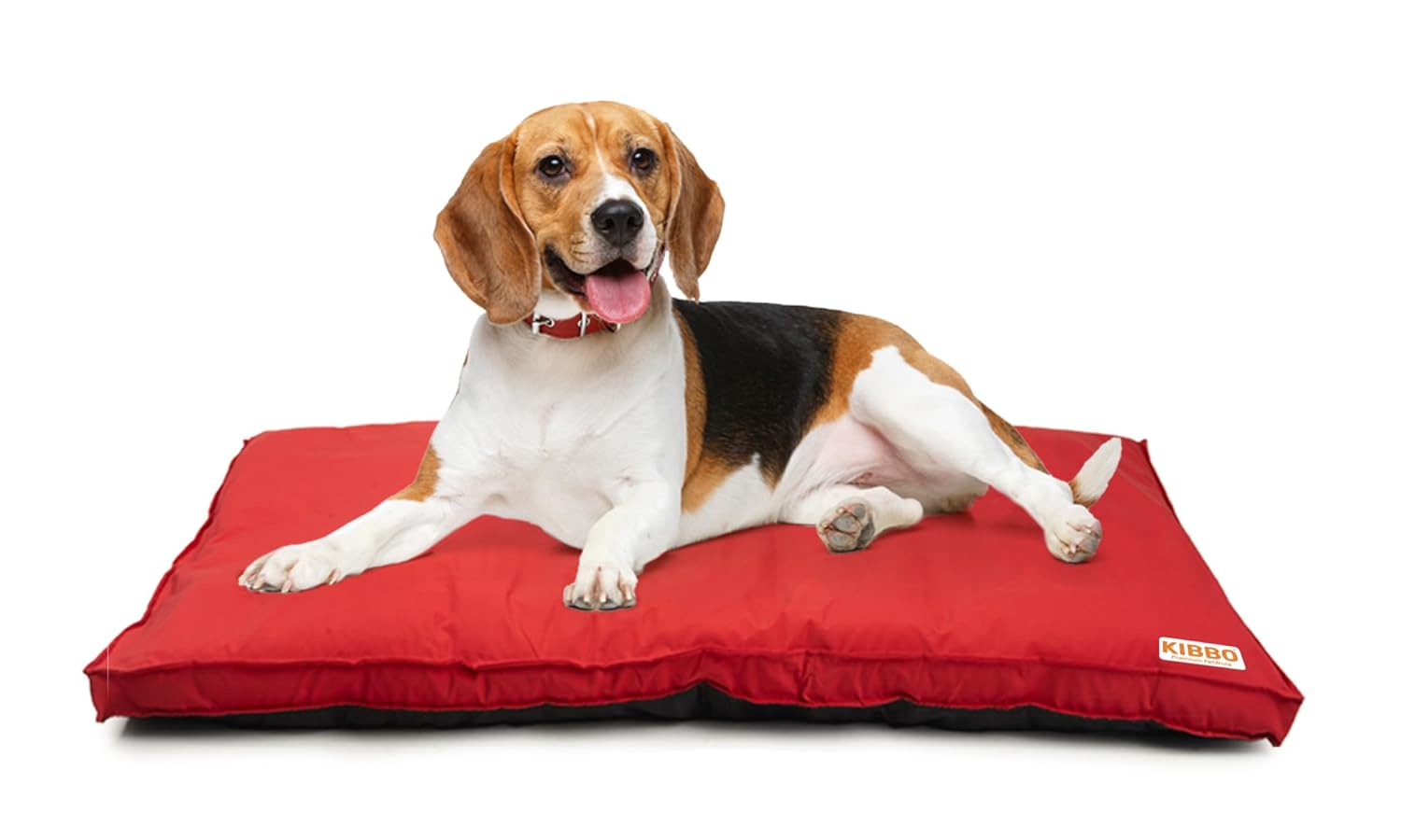 KIBBO Waterproof Flat Bed for Dogs and Cats | Detachable Cover & Washable Dog Bed | Lighweight Design with Anti-Skid Base | for Medium Breed | Red
