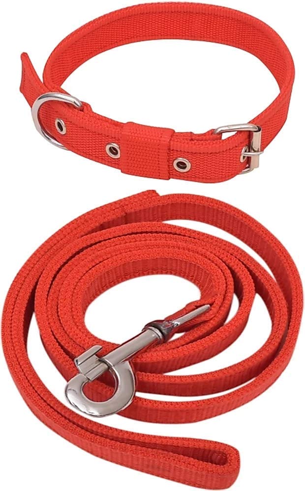 SENAPATI Dog Neck Collar Belt And Leash Set (Red Color, Waterproof, Medium, Leash Size 1.5M-2M) (Small, 10 Cm)