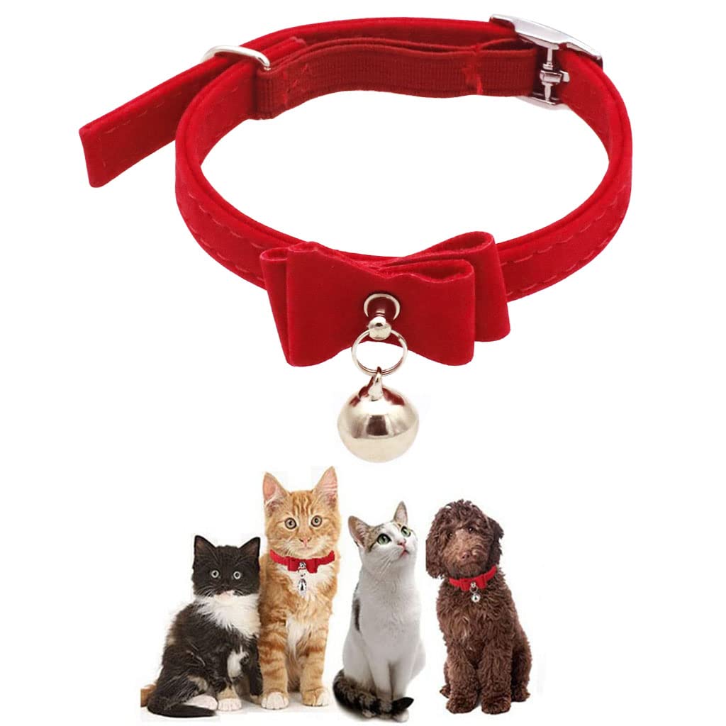 HASTHIP® Adjustable Cat Belt, Strong Breakaway Buckle, Cat Collar With Bell, Velvet Neck Strap for Small and medium-sized Cats, Safety&Comfort 33.5CM – Red (Pack of 1) HASTHIP® Adjustable Cat Belt, Strong Breakaway Buckle, Cat Collar With Bell, Velvet Neck Strap for Small and medium-sized Cats, Safety&Comfort 33.5CM – Red (Pack of 1)