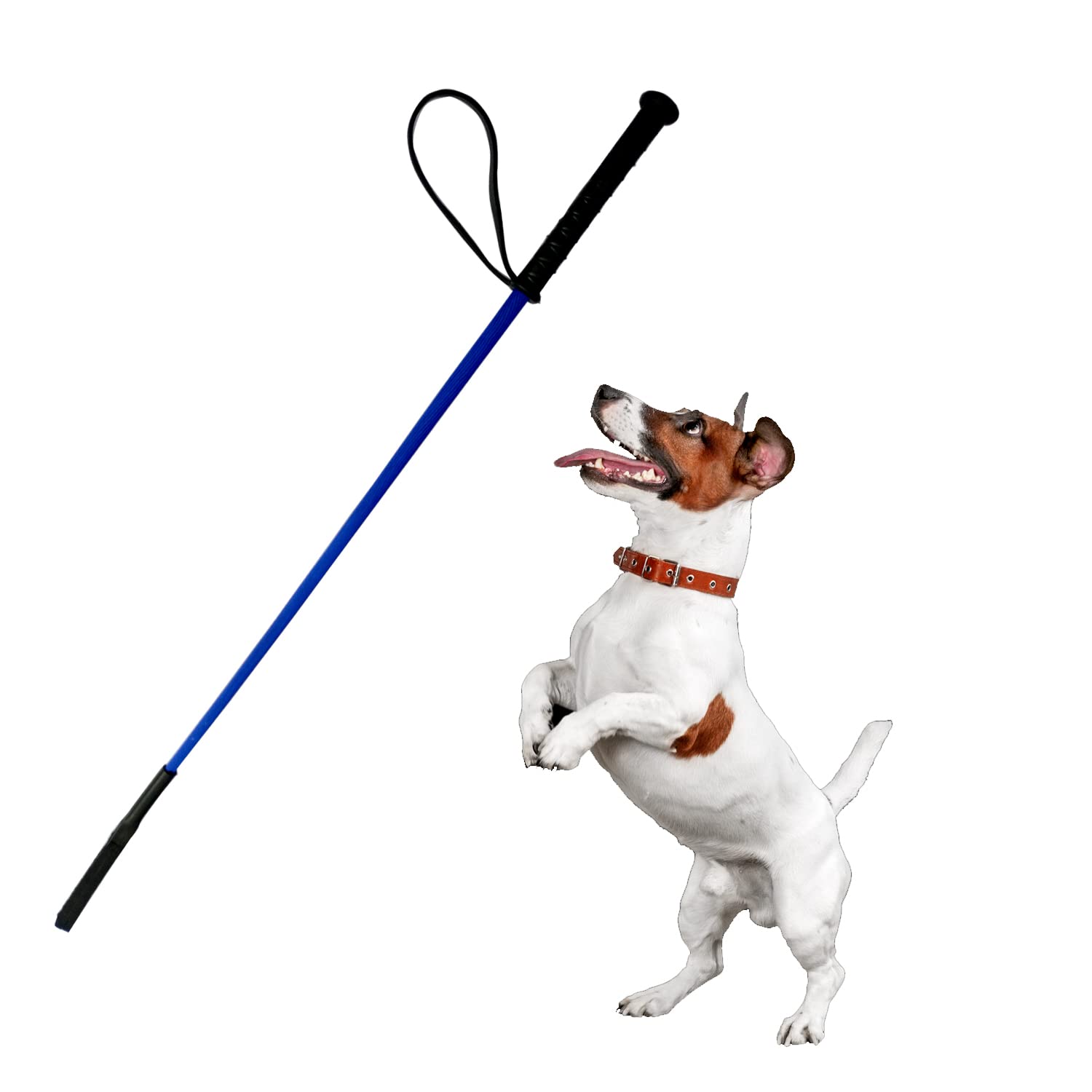 JAINSONS PET PRODUCTS Dog Training Hunter Stick Length: 30 Inch/ 2.5 Feet, Soft And Easy To Use Hunter Stick Will Not Hurt Your Pet (Color May Vary) JAINSONS PET PRODUCTS Dog Training Hunter Stick Length: 30 Inch/ 2.5 Feet, Soft And Easy To Use Hunter Stick Will Not Hurt Your Pet (Color May Vary)