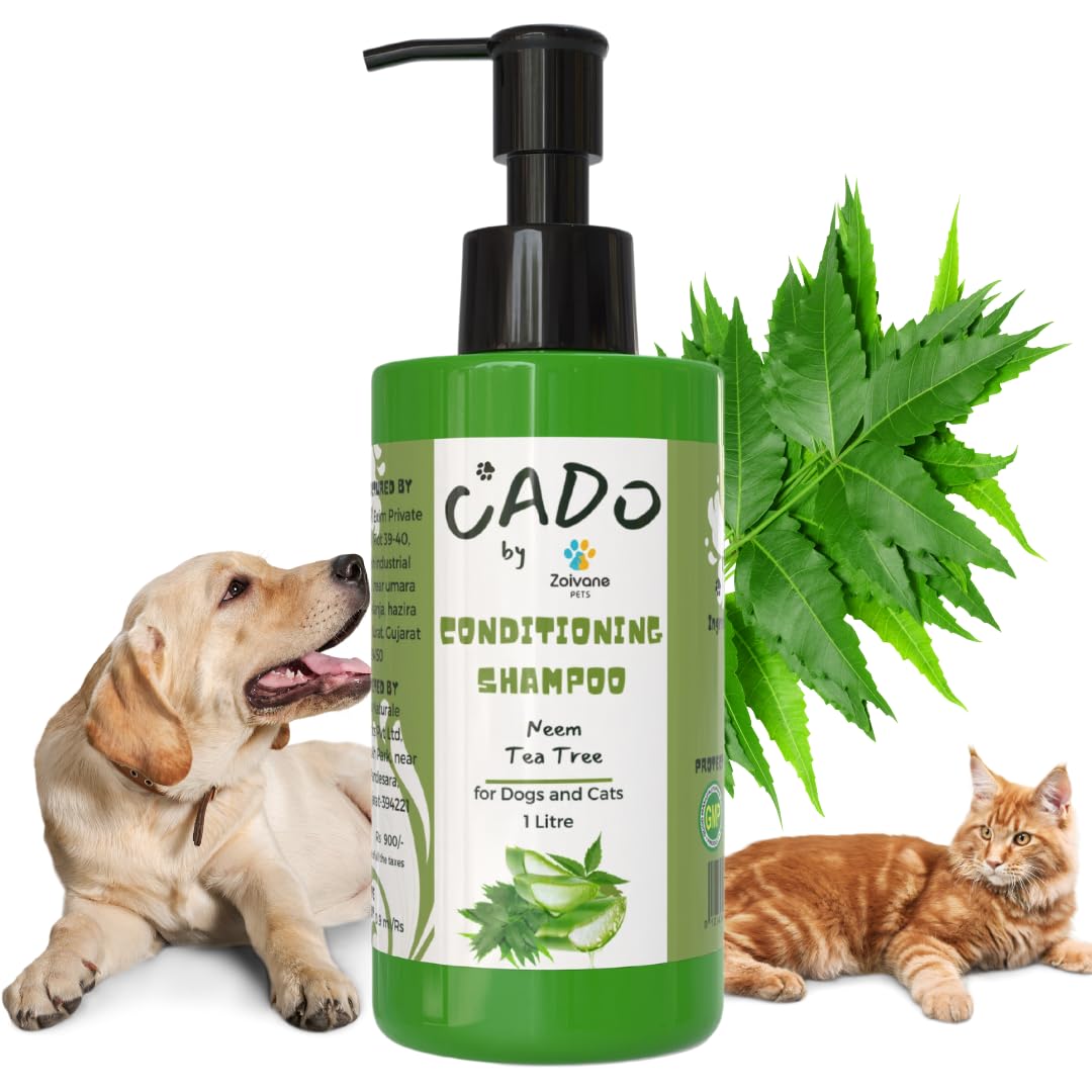 ZOIVANE Cado Neem Dog Shampoo (1000 ML) | Effective Flea & Tick Control Shampoos for Dogs | Anti-Dandruff Formula | Suitable for Labrador, Shih Tzu, Golden Retriever, German Shepherd (Pack of 1)