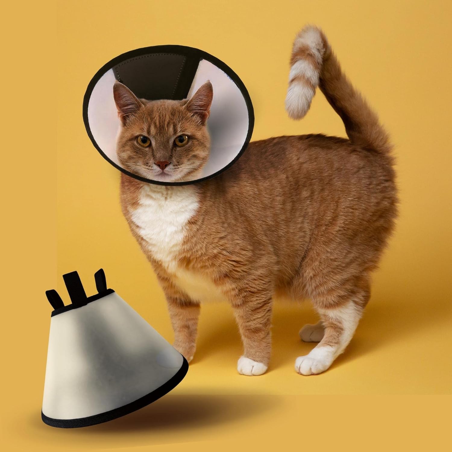 PALLY Pets’ Products Cat Cone (Size 1, Large) Plastic E-Collar Adjustable Protective Collar for After Surgery Anti-Bite Lick Wound Healing Safety Practical Pet Cone Recovery Collar (Large) PALLY Pets’ Products Cat Cone (Size 1, Large) Plastic E-Collar Adjustable Protective Collar for After Surgery Anti-Bite Lick Wound Healing Safety Practical Pet Cone Recovery Collar (Large)