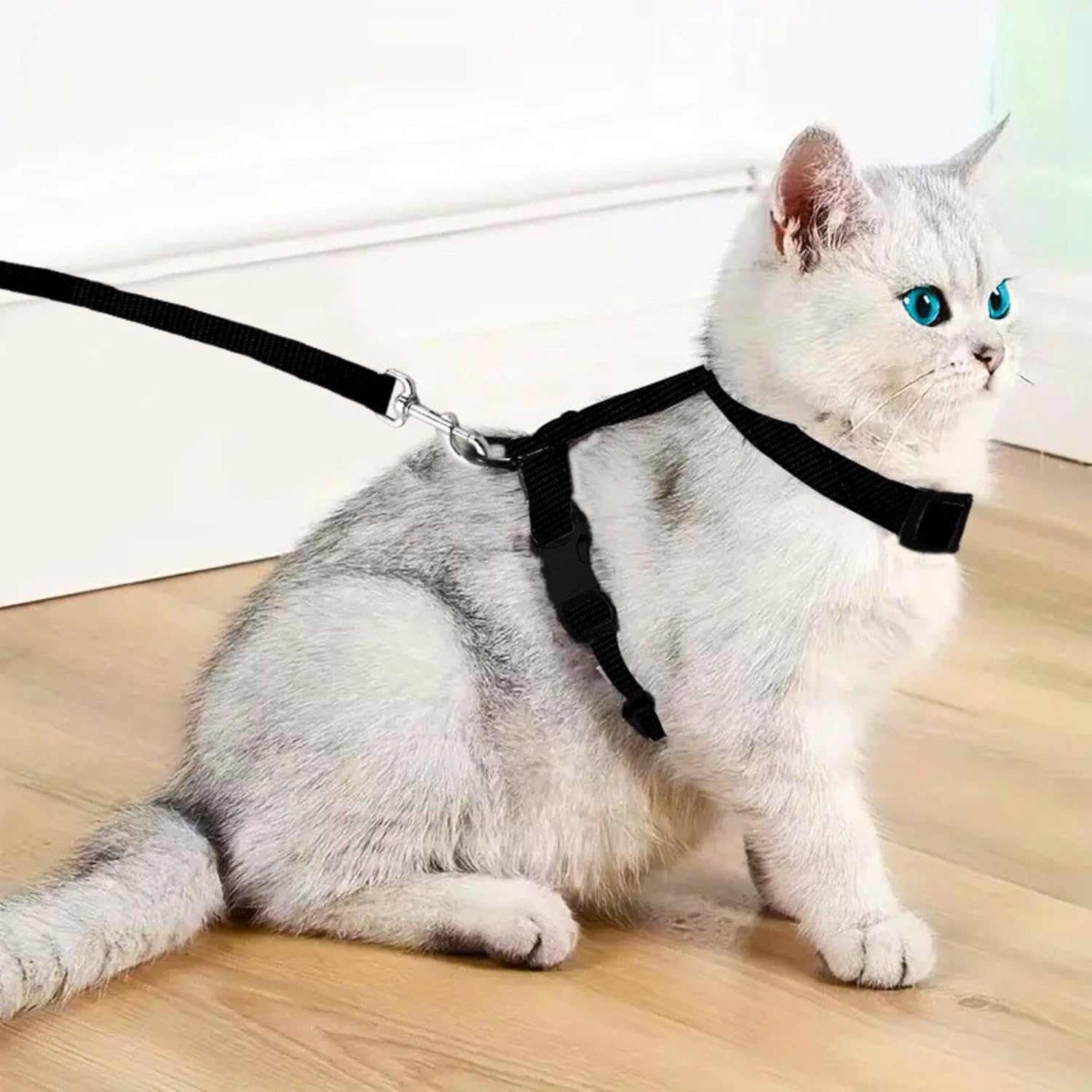 Buraq Pets Plain Full Body Cat Harness with Leash Set for Walking, Outdoor, Escape Proof Cat Belt, Adjustable & Durable Ideal Accessories for Cats (Black)