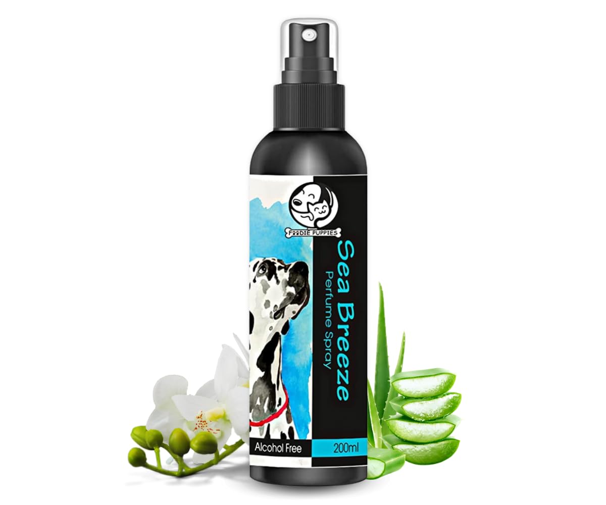 Foodie Puppies Dog Sea Breeze Perfume Spray – 200 ml with Extract of Lavender and Aloe-Vera | Daily use, Safe Deodorizer, Coat, Body Bad Odor Remover Foodie Puppies Dog Sea Breeze Perfume Spray – 200 ml with Extract of Lavender and Aloe-Vera | Daily use, Safe Deodorizer, Coat, Body Bad Odor Remover