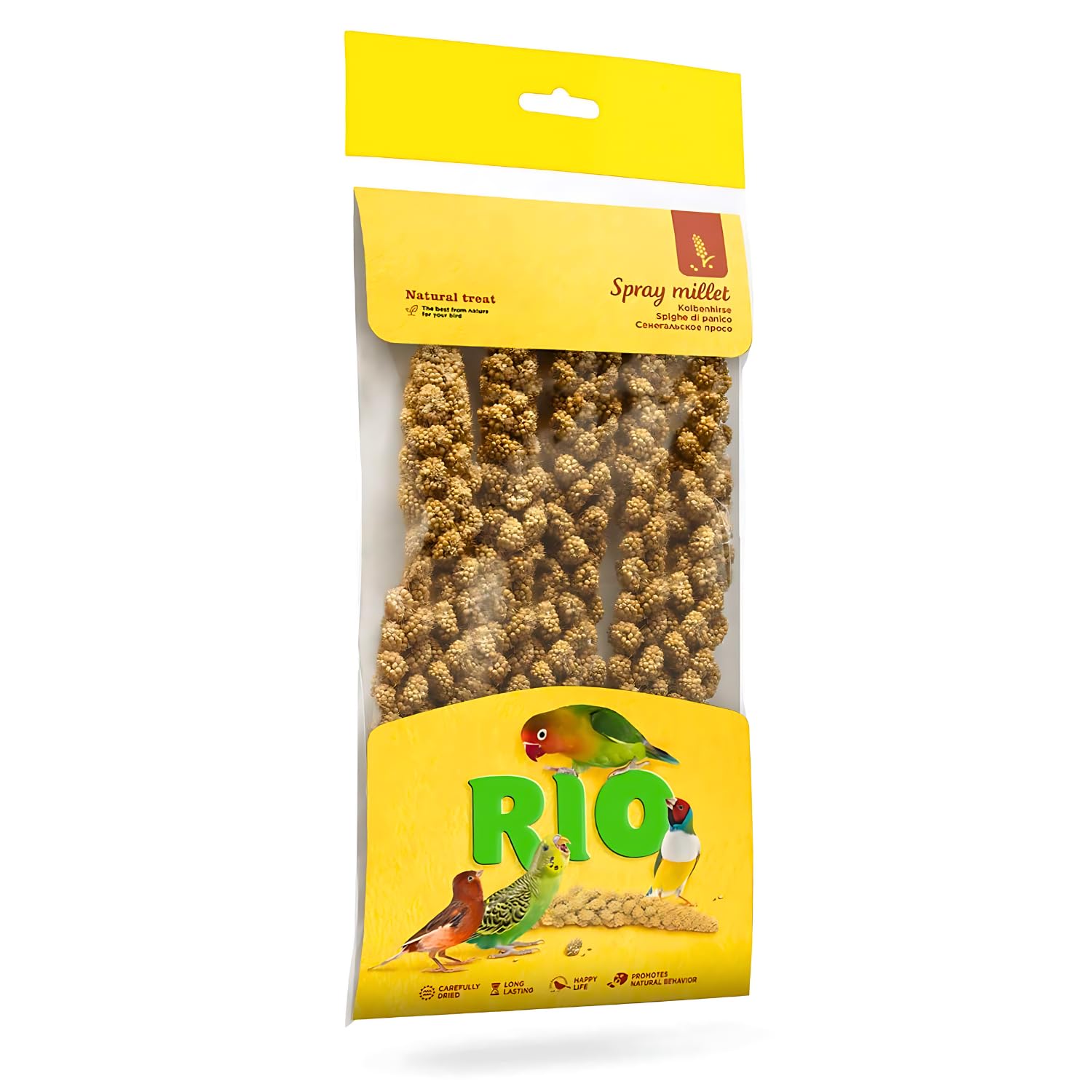 PETS EMPIRE Rio Spray Millet, Natural Feed Foxtail Millets, Healthy Bird Food, Dried Foxtails Birds Treat, Pet Treats for Kangni Birds, Parakeets, Parrots and All Birds – 100 gm