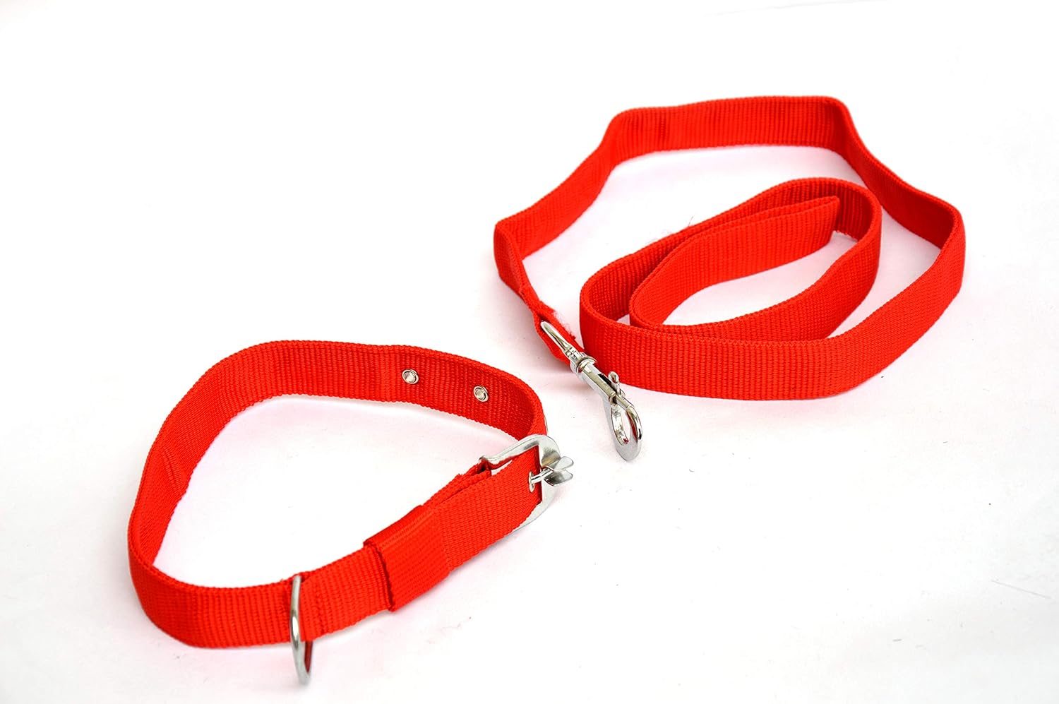 Dogista pet Products Dog pp Leash Collar Set 1.50 (Color May Vary), Extra Large