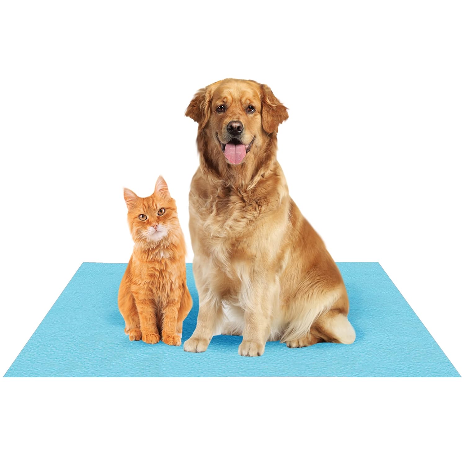 Amorite Waterproof Reusable Washable Pee Pads for Dogs (Medium, Sea Blue)