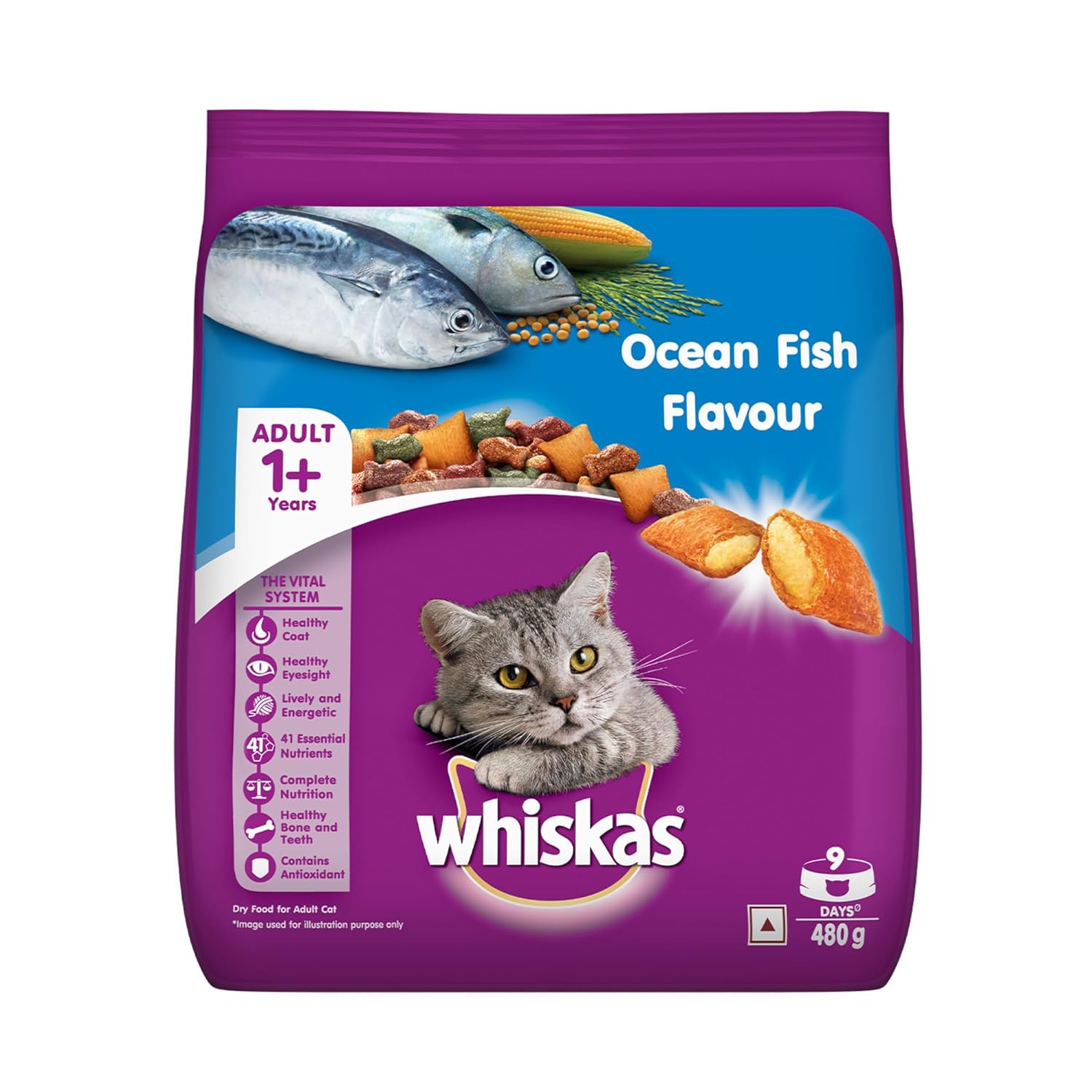 Whiskas Adult (1+ Years) Dry Cat Food, Ocean Fish Flavour, 480g Pack