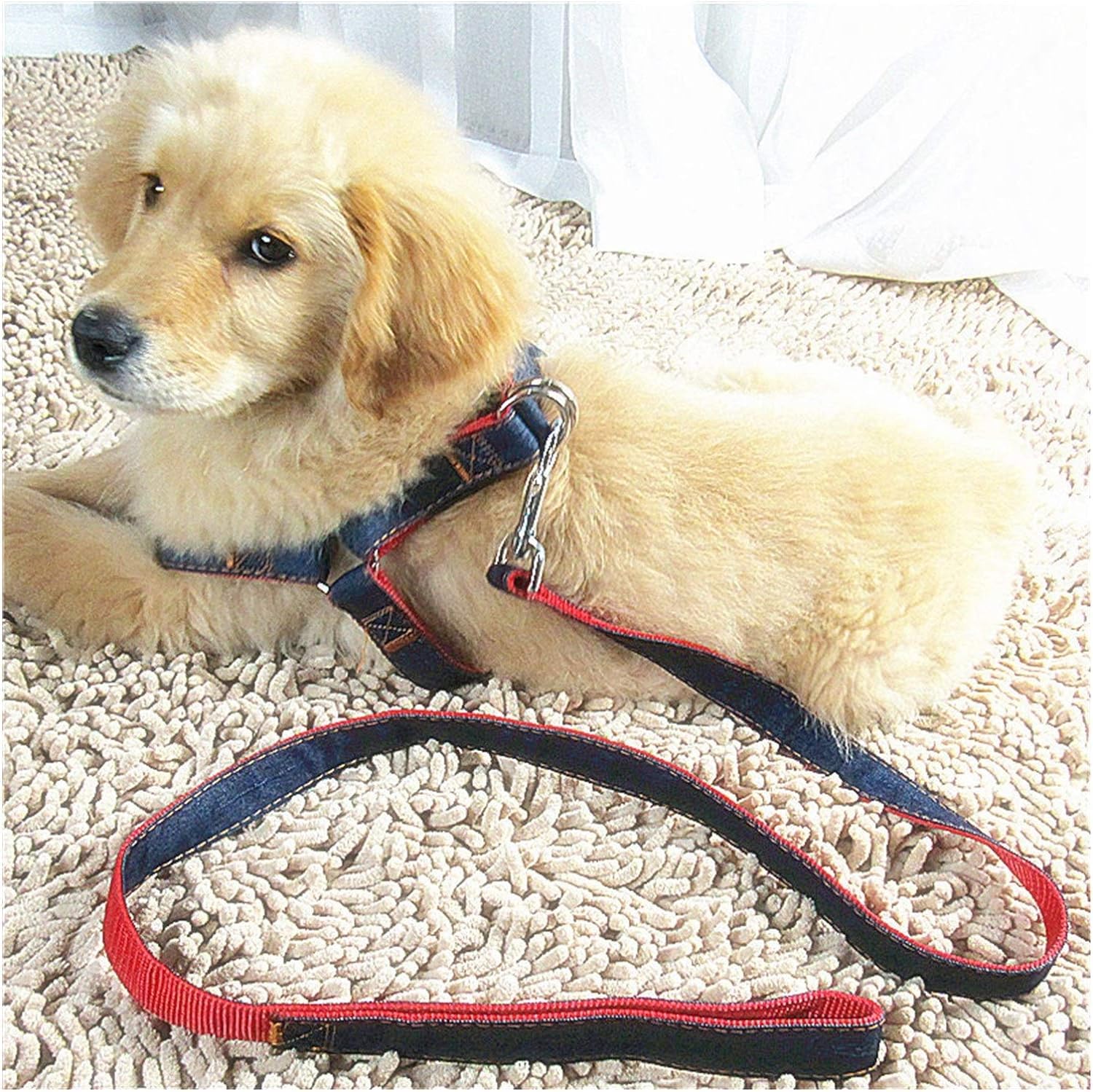 Kuber Industries Dog Chest Belt Harness with Adjustable Leash|Premium Demin Fabric|Metal Hooks |PDMG