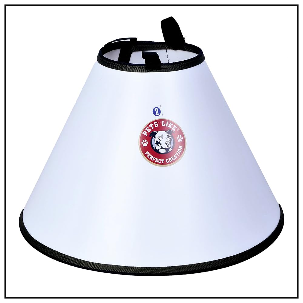 Petslike Elizabethan Collar (Size 5-For Medium Adult Dogs), Off White (PL5193)