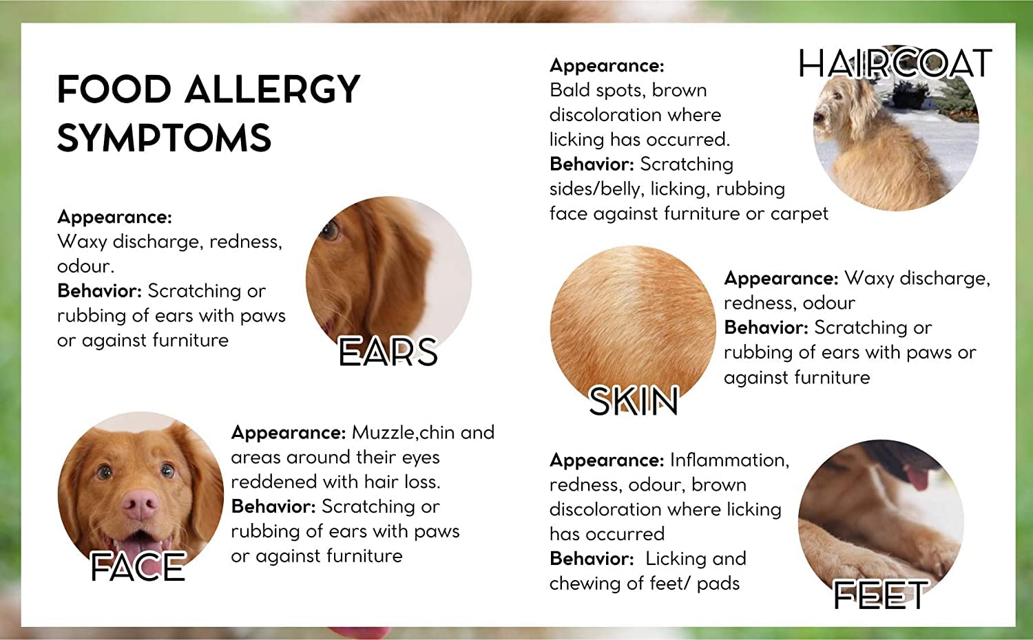 ZOOOP Vet Pro Hypoallergenic Adult Dog Dry Food 3kg for Dogs with Adverse Reactions to Food, Fish Flavor