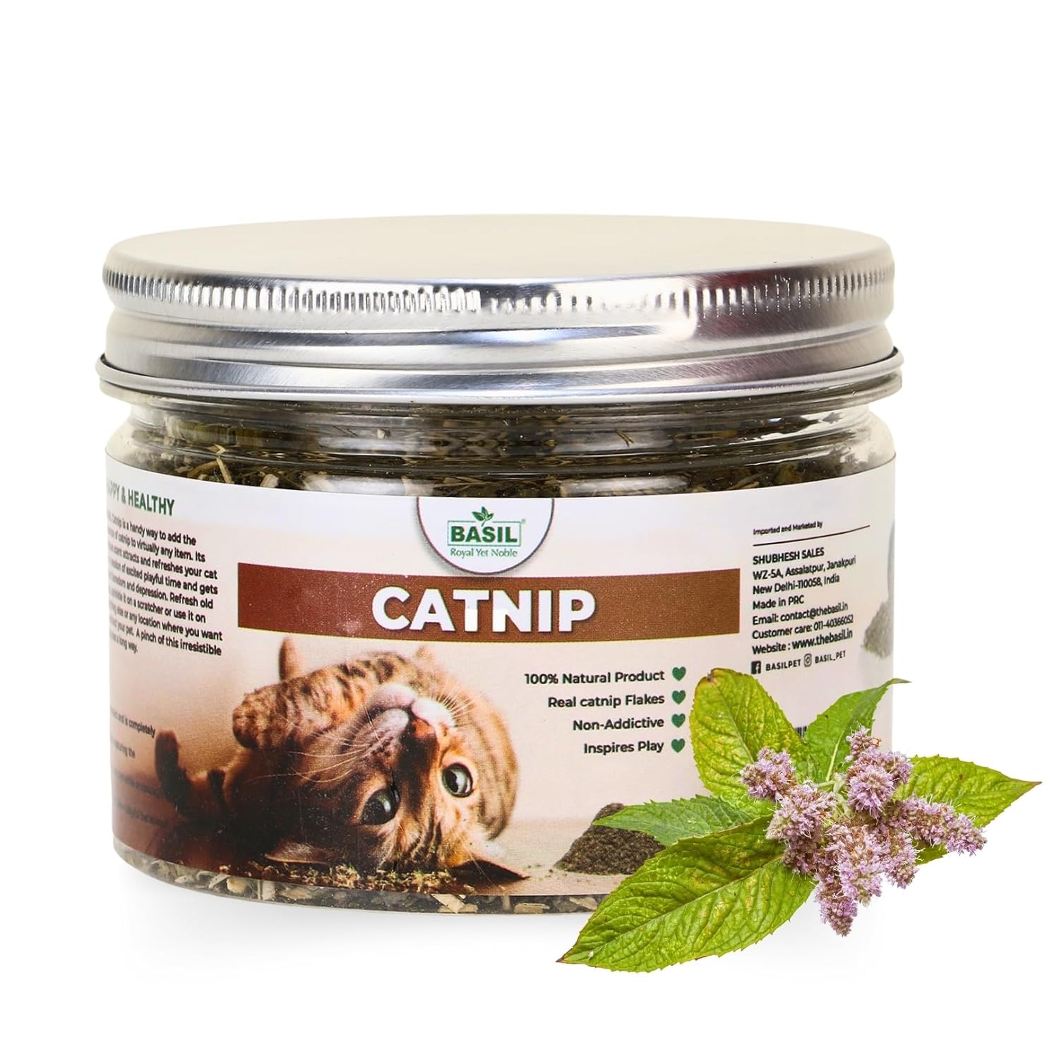 BASIL Royal Yet Noble Catnip Jar | 100% Natural & Organic Catnip | Non-Addictive & Safe | Used on Toys and Scratchpads | Stimulate Playful Behaviour in Cats & Kittens to Relax and Train, 30gm