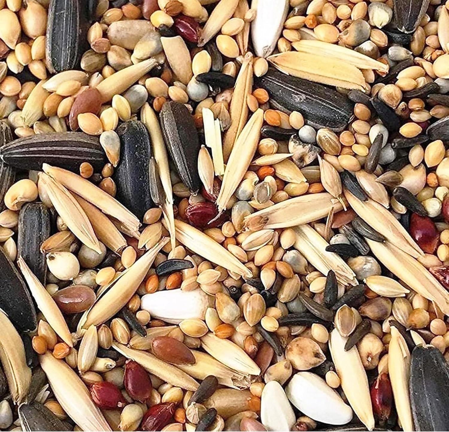 Pet Love’s | Mix Seeds Bird Food | Premium Bird Food | Daily Bird Food Seed Mix | with Niger Seeds | 1Kg