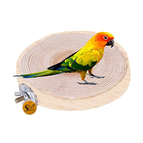 Sage Square 4.5 Inches / 12 cm Natural Wood Platform Cum Perch Cum Stand Bird Toy Ideal for Finch, Canary, Lovebird, Budgerigar, Budgeri (Light Weight) (1 Piece)