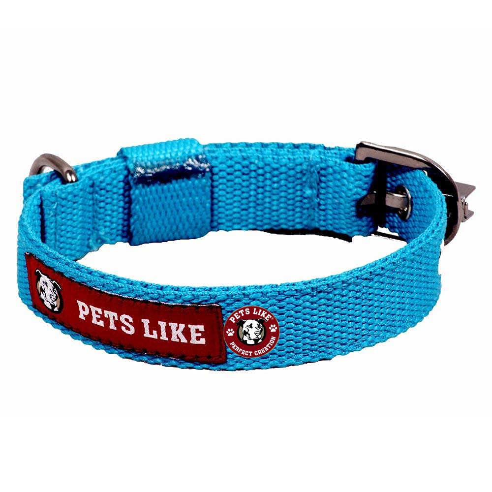 Pets Like Prefect Creation Collar, Sky Blue (20 mm)