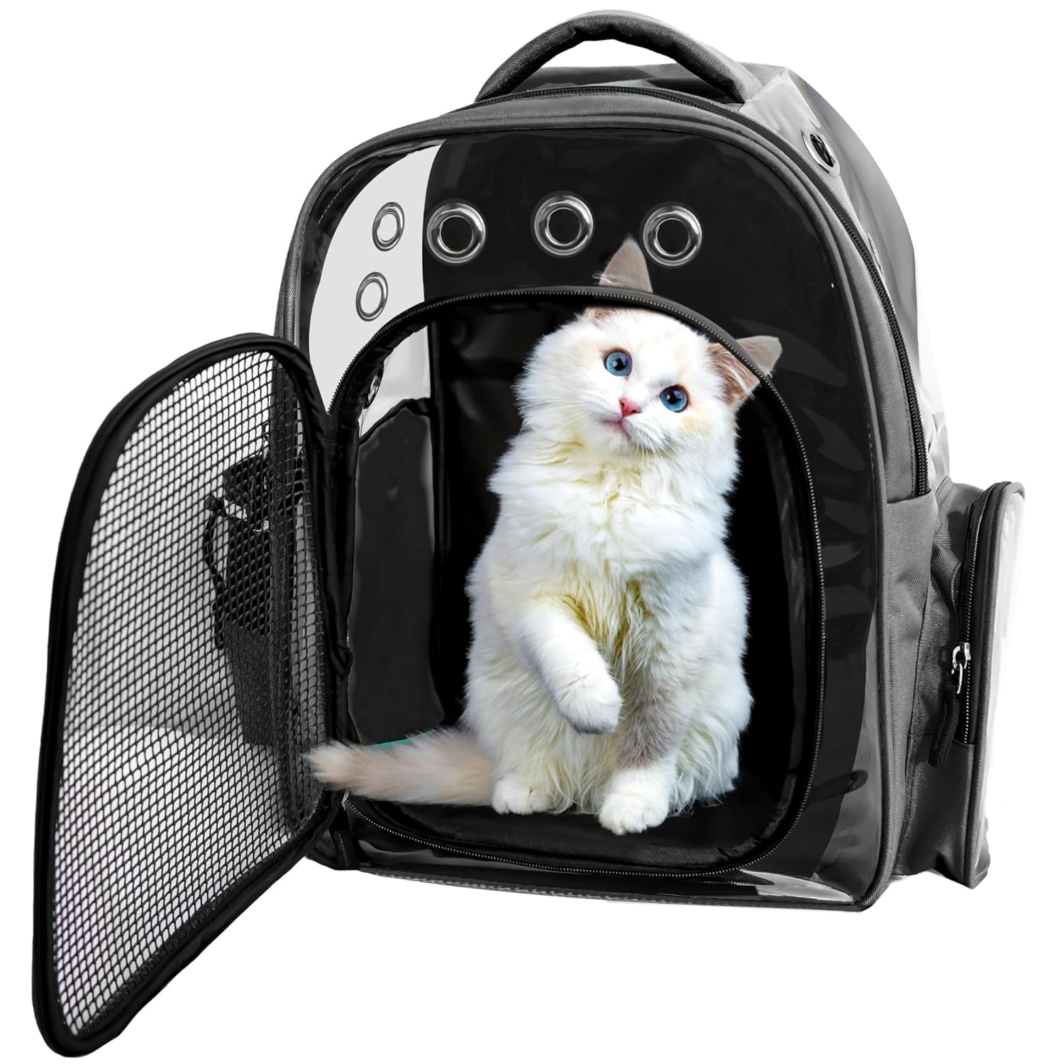 Buraq Breathable Design Pet Carrier Backpack for Hot Weather Travel, Hiking, Ventilated, Touring, Airline-Approved, Sturdy Base cat Bag for Cats Kitten Puppy (Black, Transpicuous See-Through)