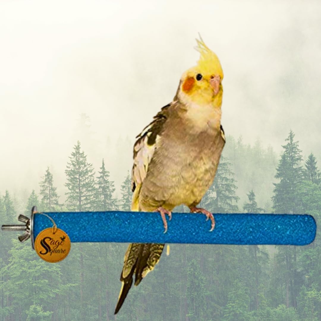 Sage Square Natural Habitat Wood Sand Perch – Comfortable Stand and Toy for Birds, Promote Healthy Feet and Comfortable Perching,The Perfect Perch for Happy Birds – Set of 2 (8″ Size)