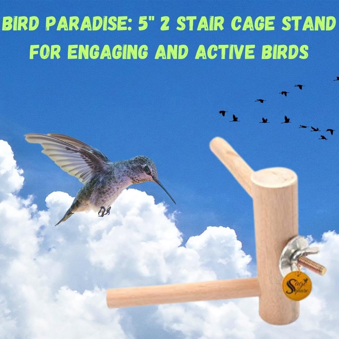 Sage Square Natural Wood 2 Stairs Bird Playful Climbing Cage Bars Fix Stand for Cage Accessory Perch Bird Toy for Budgies, Java, Finch, Canary and Other Small Birds