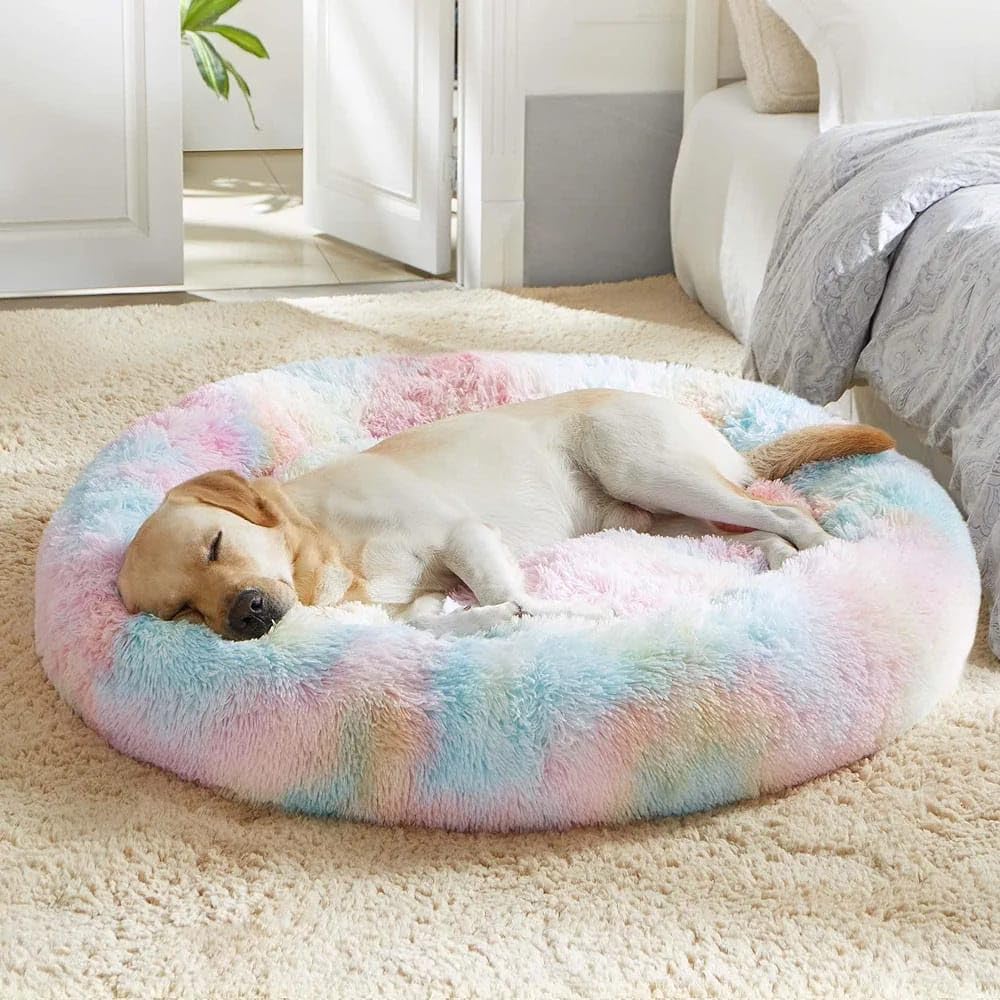 ZEXSAZONE Round Donut Pet Bed for Cats and Puppies Dogs, Cozy and Plush, Raised Bedside Support, Both Sides Use Like 2 in One, Washable, Sizes for Small, Medium, and Large Pets. (Rainbow, Medium